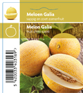 Meloen Galia (tray 12 pot)